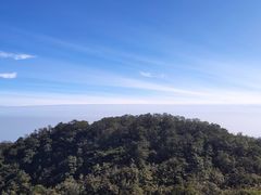 -梧桐山风景名胜区