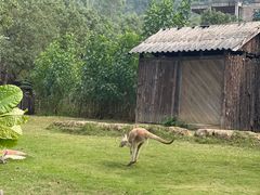 -泉州海丝野生动物世界