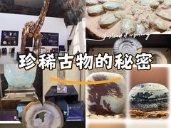 -中华赏石园