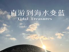 -南汇嘴观海公园