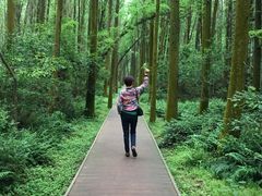 -同里国家湿地公园