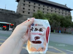 -大慈恩寺(大雁塔)