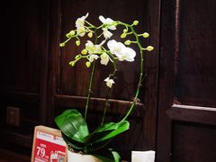 -小吊梨汤·北京菜·烤鸭(四元桥店)