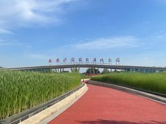 -西安浐灞国家湿地公园
