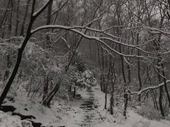 景点-钟山体育运动公园
