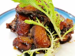 -新名仕新白玉兰餐厅