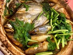 -深运潮州粥(东门店)