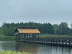 -溱湖国家湿地公园