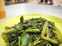 马来风光-纽顿熟食中心