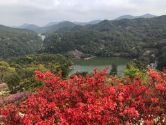 -广州市石门国家森林公园