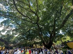 -桂林独秀峰王城景区