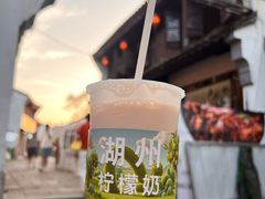 -猫的魔法密林(衣裳街店)