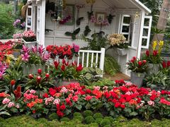 -国家植物园南园