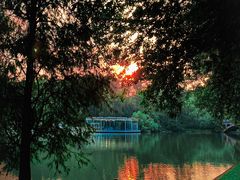-中国科学院华南植物园