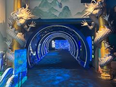-江和美海洋公园