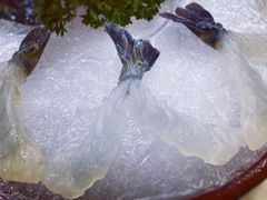 -寻味顺德·南记酒家·传统顺德菜·鱼生(广源路店)