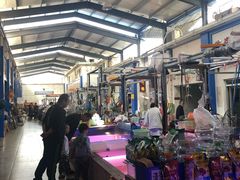 -山东柏宁水族批发广场