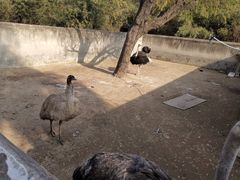 -祥源·阜阳生态乐园