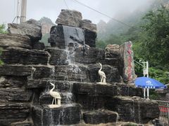 -大岭沟猕猴桃谷风景区