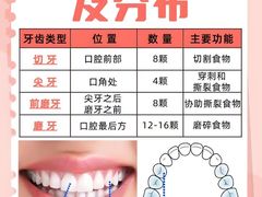 -柏乐口腔医院·舒适化无痛种植牙中心(东盟商务区院)