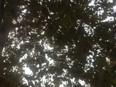 -赵州桥景区