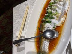 -金美华轩(东方路齐鲁店)