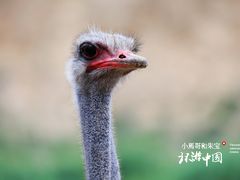 -水洞沟旅游区