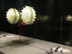 -Dior迪奥(国贸商城店)