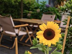 -Beans Solo豆号咖啡(百家湖花园店)