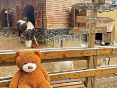 -HERRE·FARM 赫尔露营农场·团建聚会包场