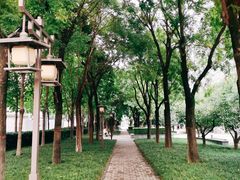 -木塔寺遗址生态公园