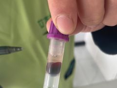 -艾吉宠物医院·疑难杂症转诊中心·猫友好(碧江路院)