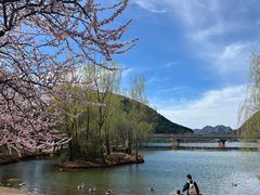 -北京中信金陵酒店