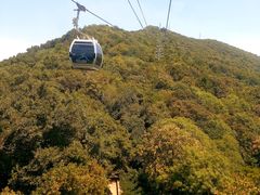 -紫金山山顶公园