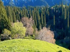 -新疆那拉提国家旅游度假区