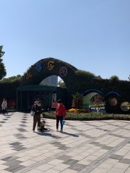 -番禺儿童公园