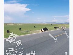 -青海湖国家重点风景名胜区