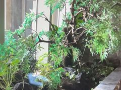-海立阁海鲜江浙菜(漕河泾印象城店)