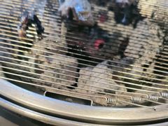 -西塔金胖胖首尔自助烤肉·街头小吃大排档