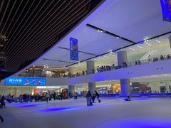 -TheRink大零溜冰场(IFS国金中心店)