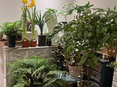 -坦克·甜品店(莲花广场店)