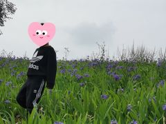 -白鹭湾湿地公园