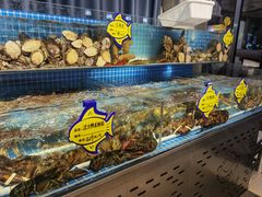 -韩记海鲜饺子旗舰店(红海新区店)