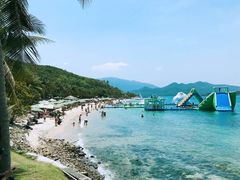 -100蛋泥浆浴