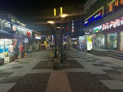 -宝健路步行街(Pedestrian Shopping Street)