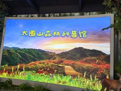 -大围山国家森林公园