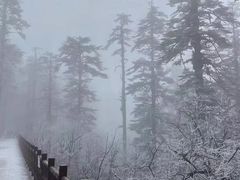 -瓦屋山景区