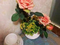 -御境·SPA养生会馆