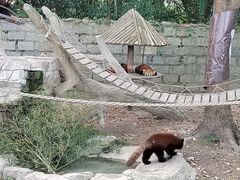 -上海野生动物园