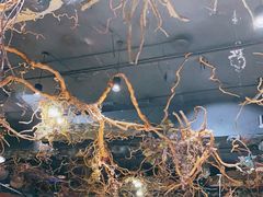 -八斗鸡·湘土菜(国贸店)